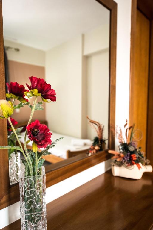 Hotel Alexandros Néoi Póroi Kamer foto